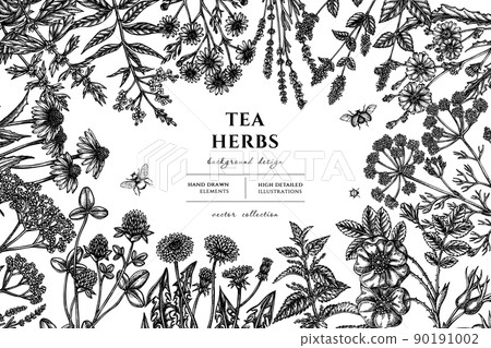 Tea herbs hand drawn illustration design. Background with sketch chamomile, mint, chicory, etc. 90191002