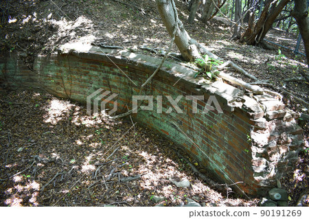 Awaji Island Oishi Park 3rd Battery Ruins Awaji Island Oishi Park 3rd Battery Ruins 90191269