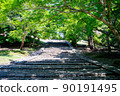 Nekodan at the same time in Nara 90191495