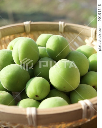 李子，涼爽，涼爽，我，收穫，陽光 90191848