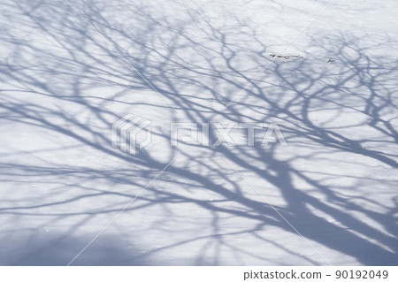 Winter scenery Winter scenery 90192049