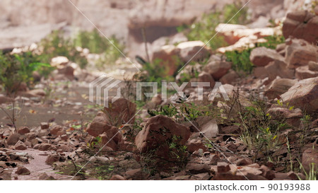 Cave in an extinct volcano on the island 90193988
