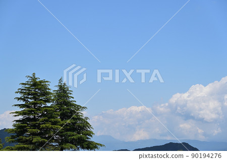 Trees and blue sky 90194276