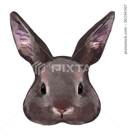 兔子臉的水彩插圖 90194307