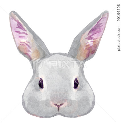 兔子臉的水彩插圖 90194308
