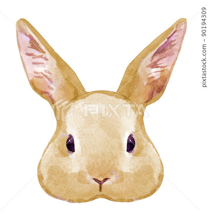 兔子臉的水彩插圖 90194309