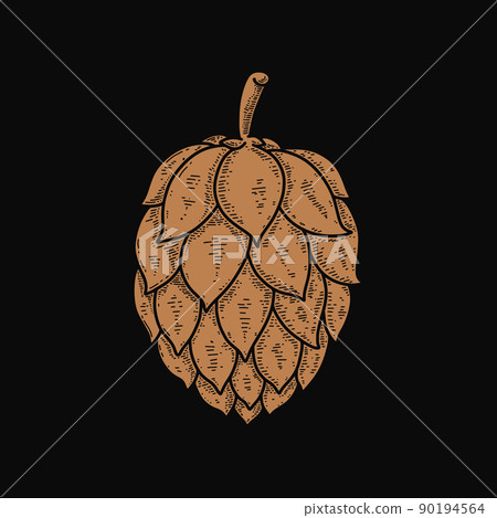 illustration of branch of beer hop in engraving style. Design element for poster, label, sign, emblem, menu. Vector illustration 90194564