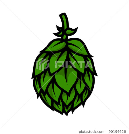 illustration of beer hop in engraving style. Design element for poster, label, sign, emblem, menu. Vector illustration illustration of beer hop in engraving style. Design element for poster, label, sign, emblem, menu. Vector illustration 90194626