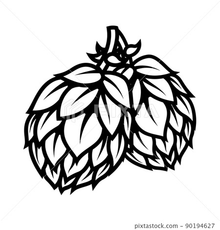 illustration of branch of beer hop in engraving style. Design element for poster, label, sign, emblem, menu. Vector illustration illustration of branch of beer hop in engraving style. Design element for poster, label, sign, emblem, menu. Vector illustration 90194627