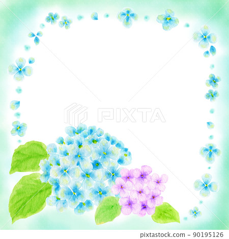 Illustration of hydrangea drawn in watercolor (square) Illustration of hydrangea drawn in watercolor (square) 90195126