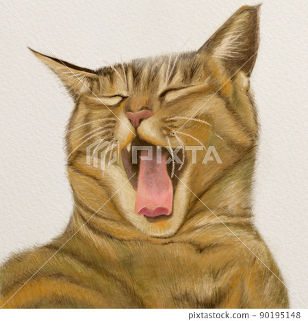 Yawning cat drawn with colored pencils Yawning cat drawn with colored pencils 90195148