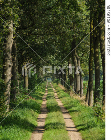 The city and the nature of Bredevoort in the netherlands The city and the nature of Bredevoort in the netherlands 90195586