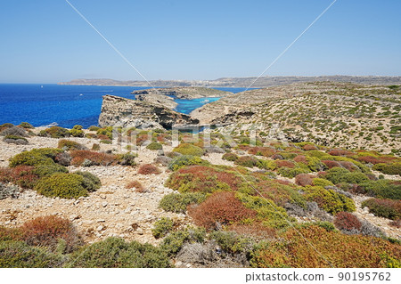 View to blue lagoon on european Comino island in Malta 90195762