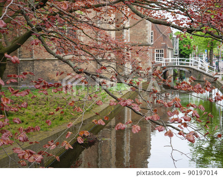 the city of delft in the netherlands 90197014