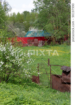Rural landscape with a fence and blooming bird cherry 90197990