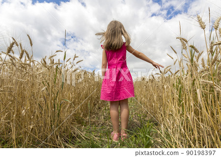 Young child girl in red dress with long hair standing in wheat field. Rear view 90198397