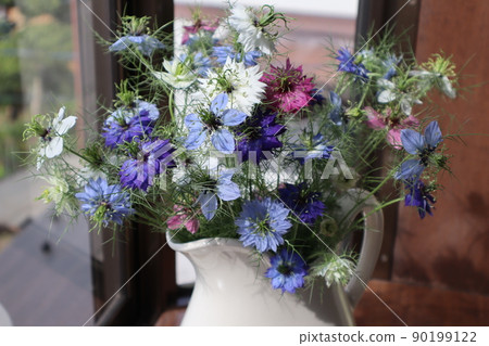 在窗台上裝飾 Nigella 花 90199122
