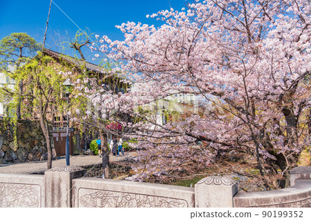 （岡山縣）倉敷美觀地區櫻花沿河春天 90199352
