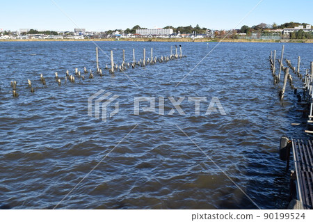 Teganuma Tone River basin Teganuma Tone River basin 90199524