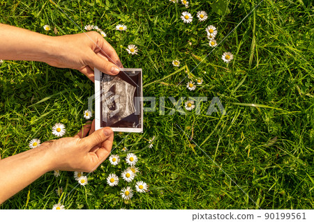 Ultrasound picture pregnant baby photo. Woman holding ultrasound pregnancy image on grass flower background. Concept of pregnancy, maternity, expectation for baby birth. 90199561
