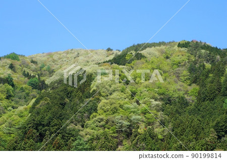 Fresh green Achi village mountain [Shimoina-gun, Nagano Prefecture] 90199814