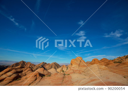 South coyote 90200054