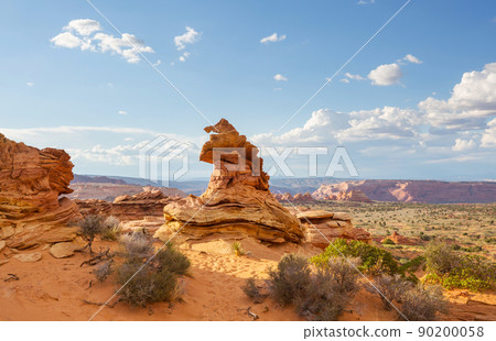 South coyote 90200058