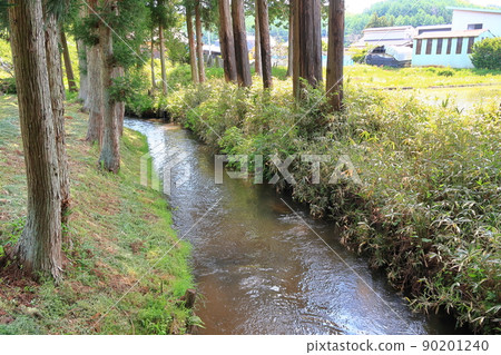 河童池景觀 90201240