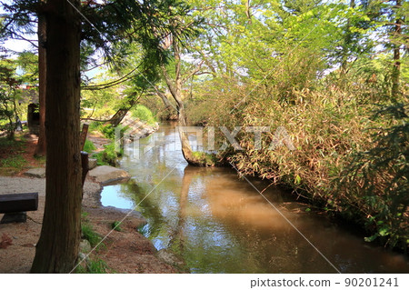 河童池景觀 河童池景觀 90201241