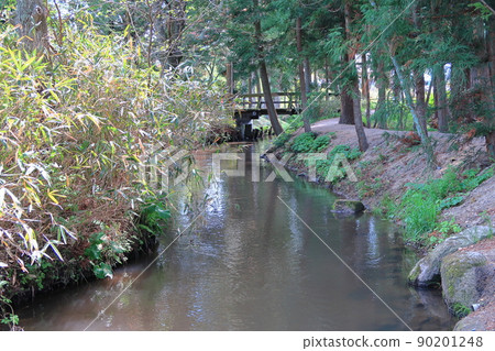 河童池景觀 河童池景觀 90201248
