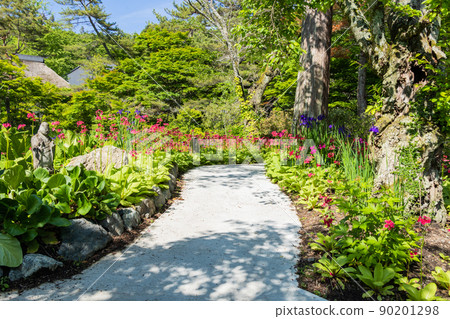 月見草和石佛小直徑 90201298