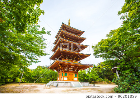 Amanohashidate Komasan Park Amanohashidate Komasan Park 90201859