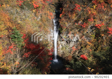 Autumn leaves and waterfall 90202401