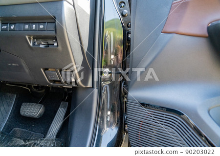 Black harrier Black harrier 90203022
