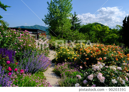 Rosa & Berry 多和田玫瑰園 Rosa & Berry 多和田玫瑰園 90203391