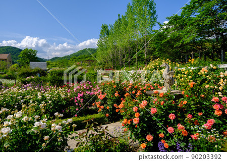 Rosa & Berry 多和田玫瑰園 90203392