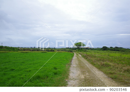 Road to Arasaki (Okinawa, Itoman) 2 90203546