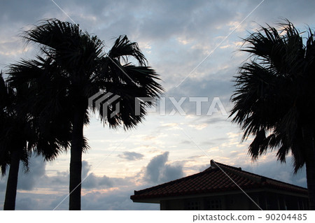 Sunset sky and palm tree silhouette on Ishigaki Island Sunset sky and palm tree silhouette on Ishigaki Island 90204485