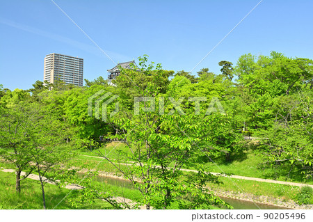 100 Fine Castles of Japan, Okazaki Castle 90205496