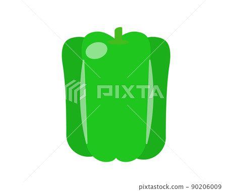 Bell pepper green vegetable illustration 90206009