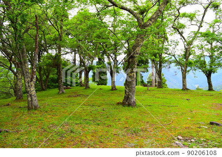 Wakasa Onigajo Continued 100 Fine Castles in Japan Wakasa Onigajo Continued 100 Fine Castles in Japan 90206108