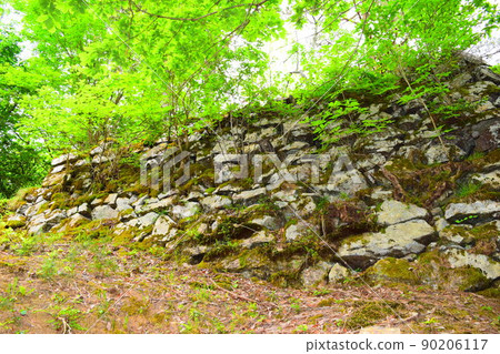 Wakasa Onigajo Continued 100 Fine Castles in Japan Wakasa Onigajo Continued 100 Fine Castles in Japan 90206117