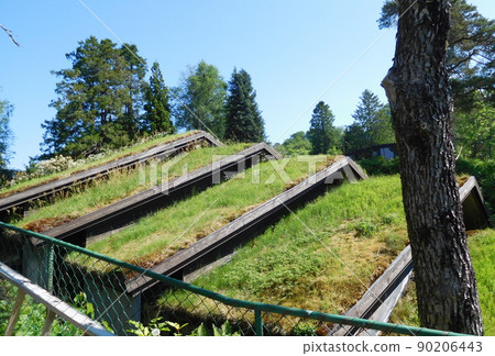 Norwegian Bergen Grieg House Troldhaugen Grass Roof Green Leaf 90206443