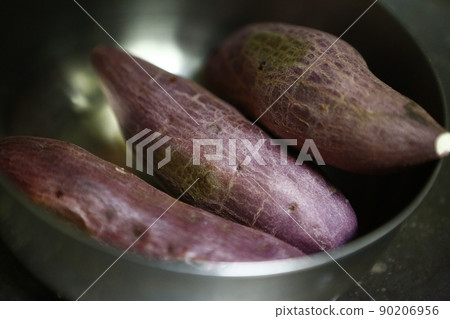 chestnut sweet potato chestnut sweet potato 90206956