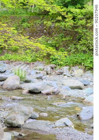 水無川溪流 水無川溪流 90207946