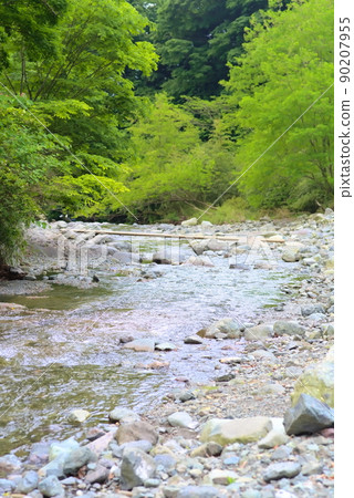 水無川溪流 90207955