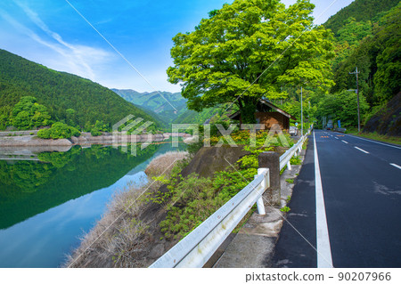 有馬大壩 Naguri 湖春天新鮮的綠色景觀 有馬大壩 Naguri 湖春天新鮮的綠色景觀 90207966