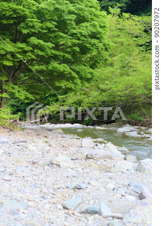水無川溪流 水無川溪流 90207972