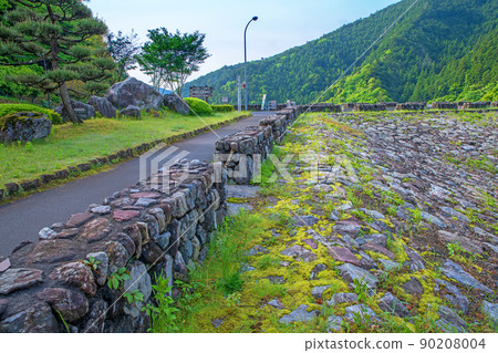 有馬大壩 Naguri 湖湖畔春天清新綠色景觀 90208004