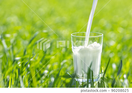 milk pouring into glass on green grass 90208025